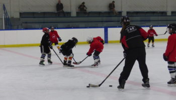 Spring Showcase – Minor Puck Control Clinic