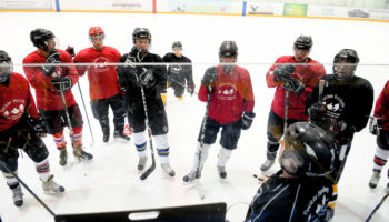 Spring Showcase: Adult Spring Programs