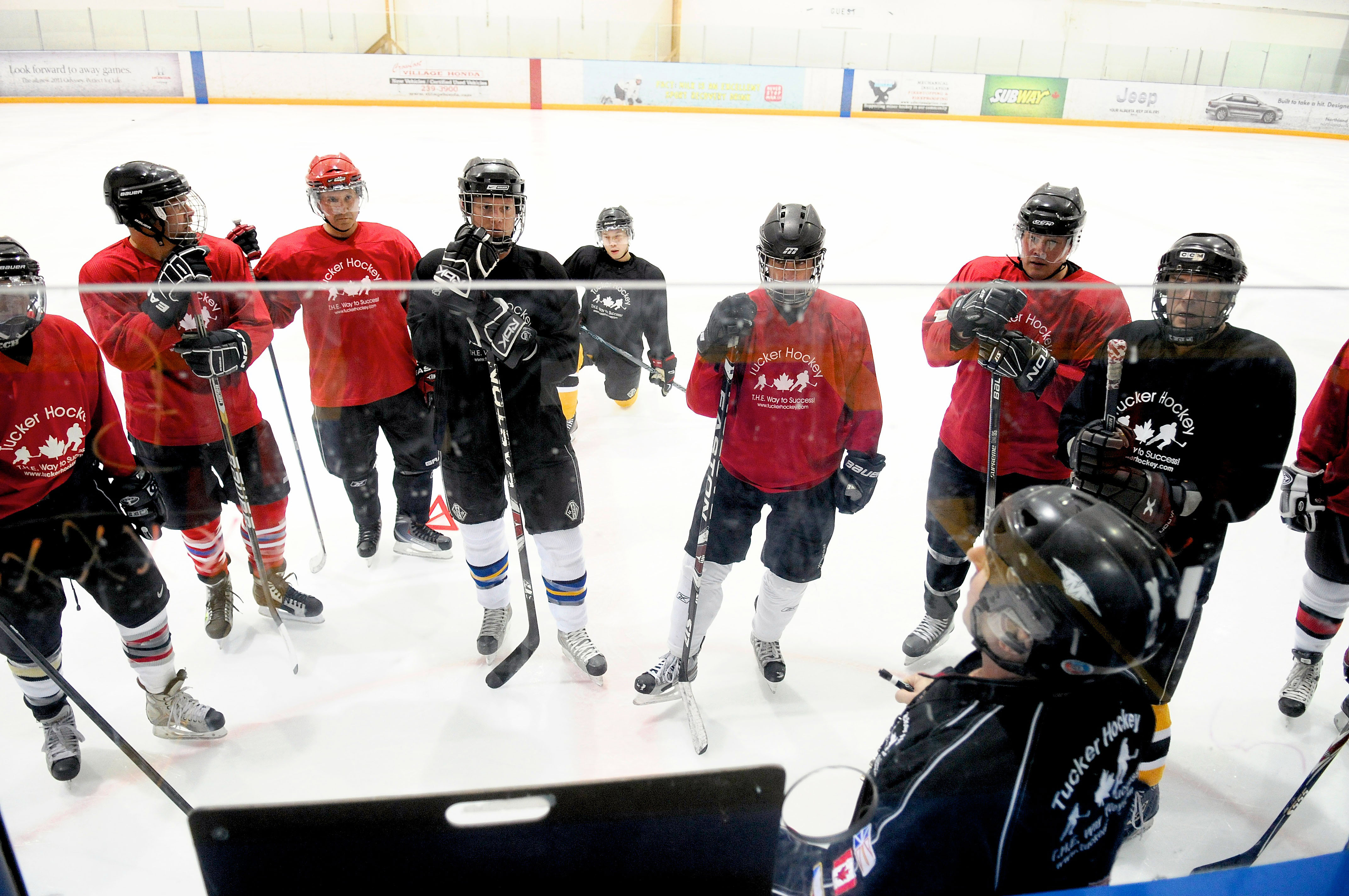 Spring Showcase: Adult Spring Programs